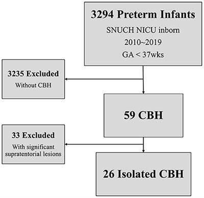 Neurodevelopmental outcomes and volumetric analysis of brain in preterm infants with isolated cerebellar hemorrhage